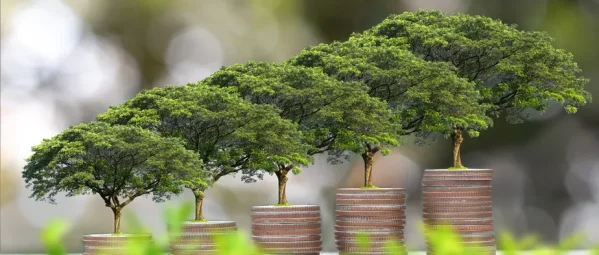 dinheiro-sustentabilidade-investimento-moeda-investimentos