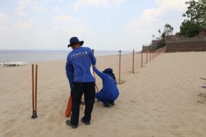 Instalação de tela cerquite ao longo da praia para evitar riscos a banhistas (Foto: Semcom)