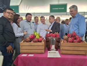 Superintendente Bosco Saraiva visita o estande de produtores de pitaya (Foto: Suframa)