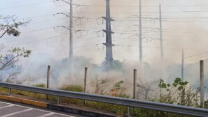 Postes de redes de transmissão também foram incendiados nas queimadas (Foto: Divulgação)