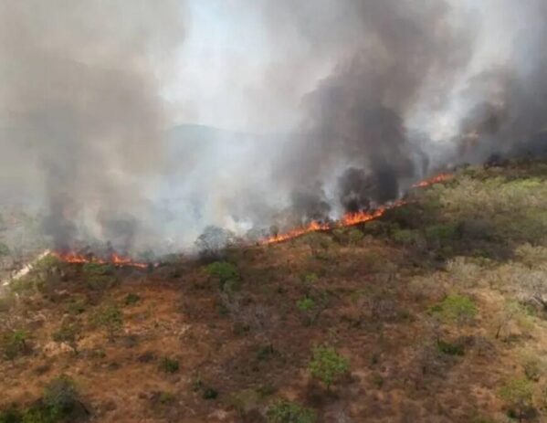 Chuva apaga incêndio na Apa Alter do Chão; imagens de satélite mostram  evolução das chamas, Santarém e Região