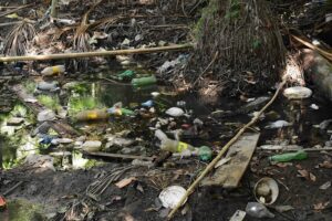 Resíduos sólidos nas margens do igarapé são resultado do consumo, aponta defensor público (Foto: Reprodução)