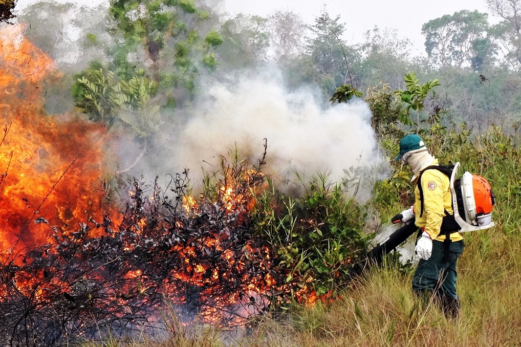 Agente do PrevFogo em combate a incêndio na Amazônia (Foto: Ibama)